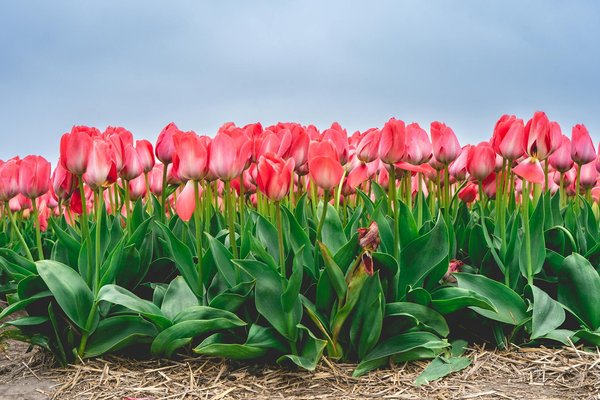 Transformez votre salle de bain à genève en un espace zen