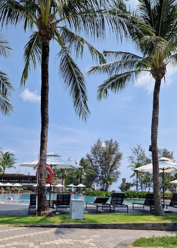 Tout savoir sur les piscines coque : un choix pratique et élégant